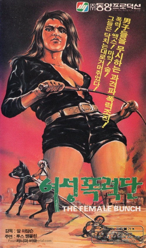 The Female Bunch - South Korean VHS movie cover
