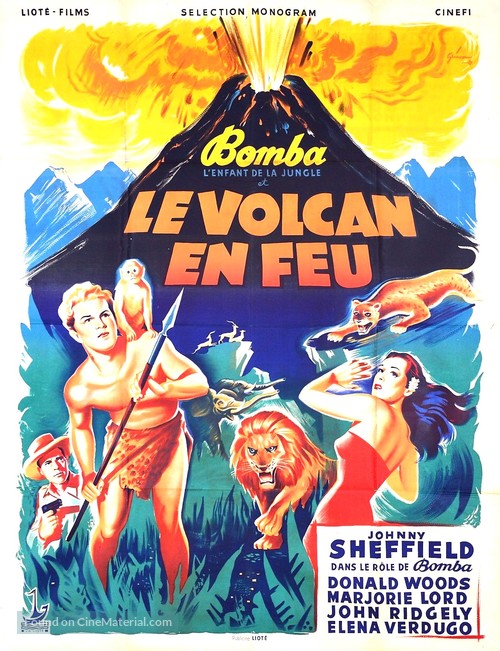 The Lost Volcano - French Movie Poster