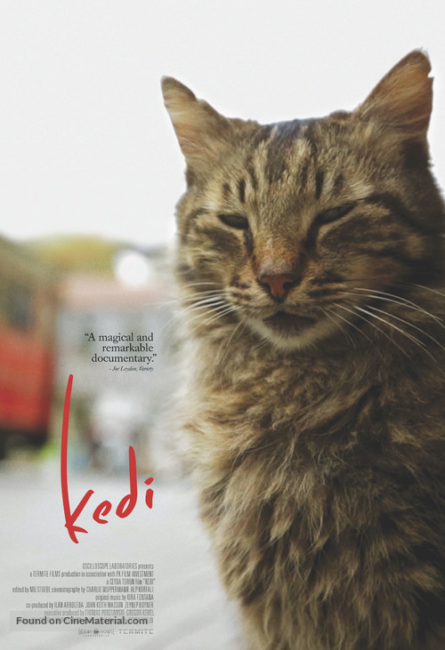 Kedi - Canadian Movie Poster