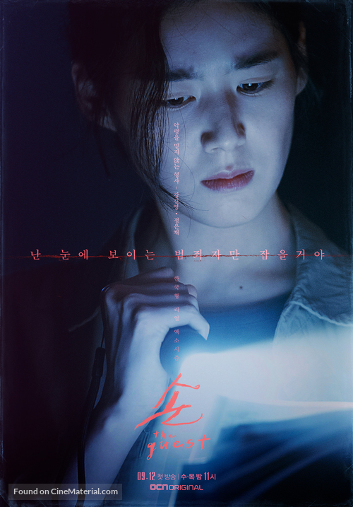 &quot;Son: The Guest&quot; - South Korean Movie Poster