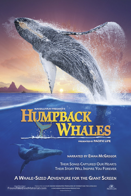 Humpback Whales - Movie Poster