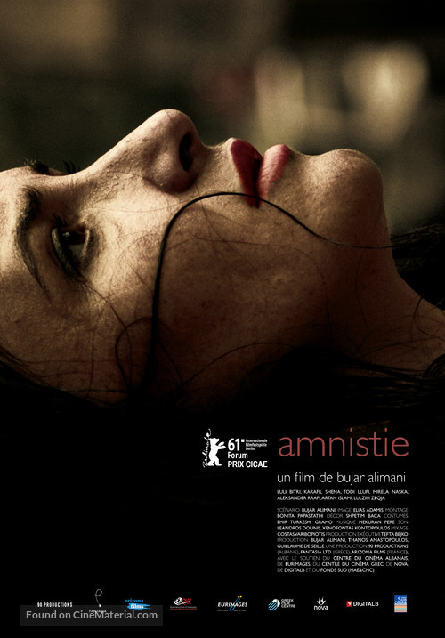 Amnistia - French Movie Poster