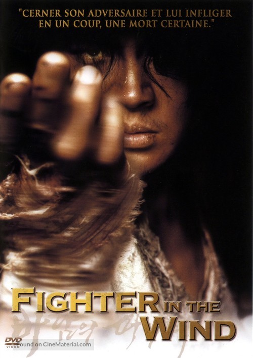 Baramui Fighter - French DVD movie cover