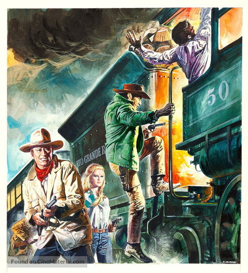 The Train Robbers - Key art