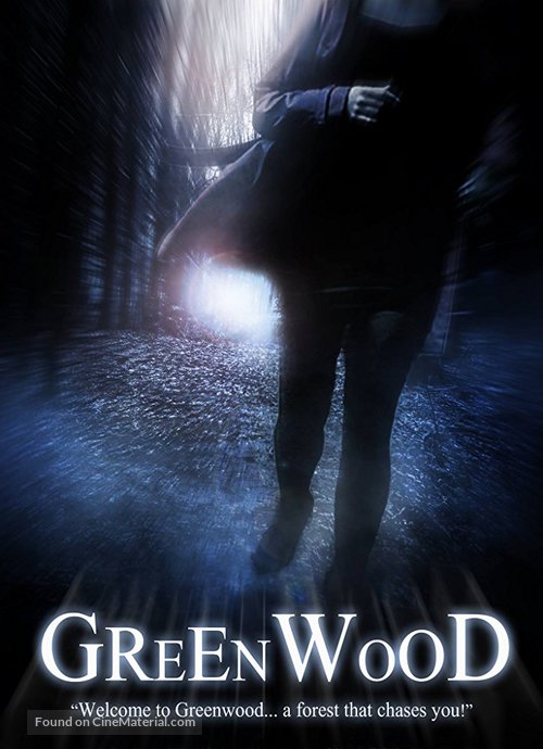 Missing in Greenwood - Irish Movie Poster