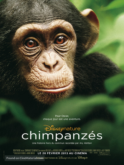 Chimpanzee - French Movie Poster