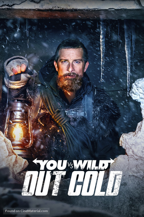 You vs. Wild: Out Cold - poster