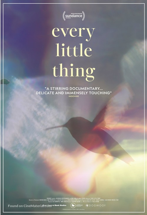 Every Little Thing - International Movie Poster