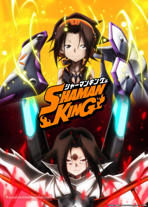 &quot;Shaman King&quot; - Japanese Movie Poster
