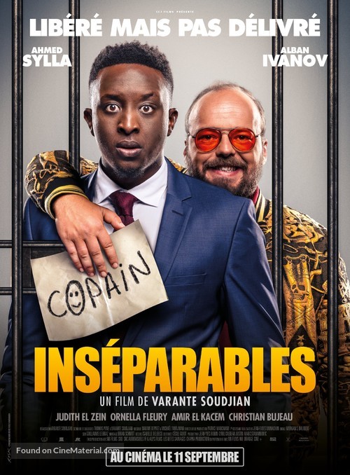 Ins&eacute;parables - French Movie Poster