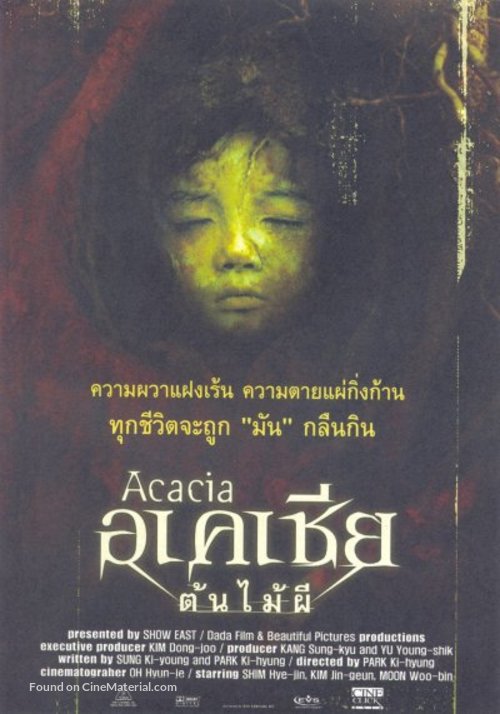 Acacia - Thai poster