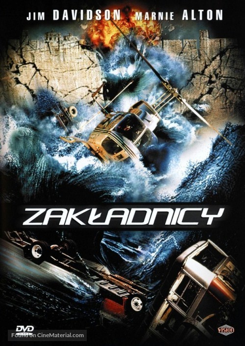 Disaster - Polish Movie Cover