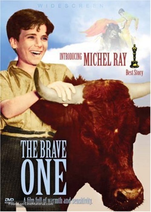 The Brave One - DVD movie cover