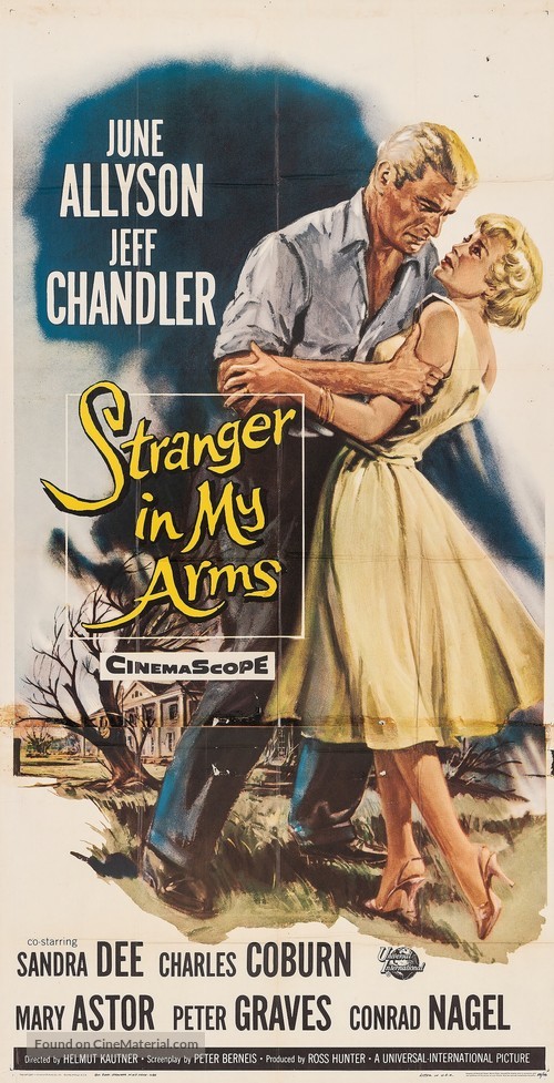 A Stranger in My Arms - Movie Poster