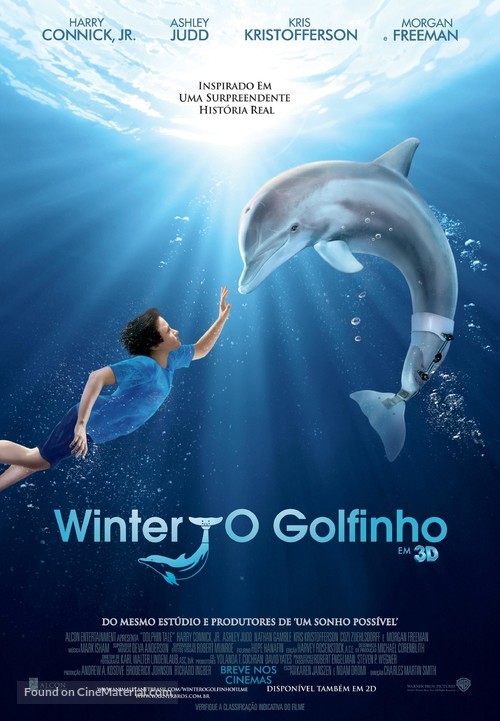 Dolphin Tale - Brazilian Movie Poster