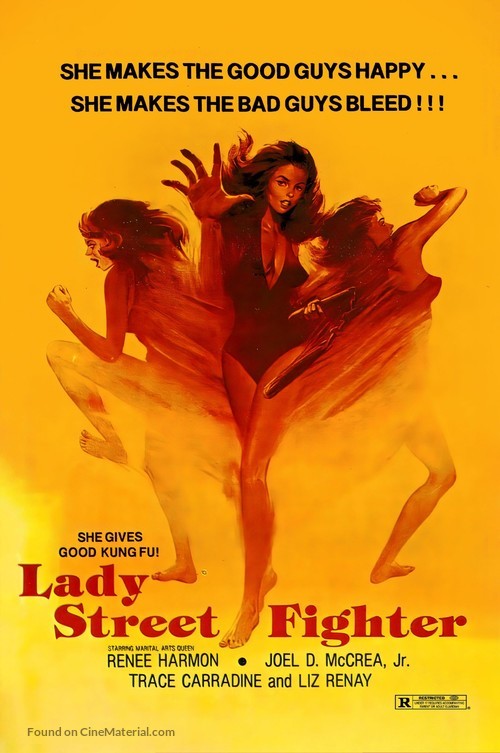 Lady Street Fighter - Movie Poster