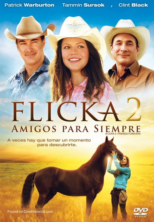 Flicka 2 - Argentinian DVD movie cover