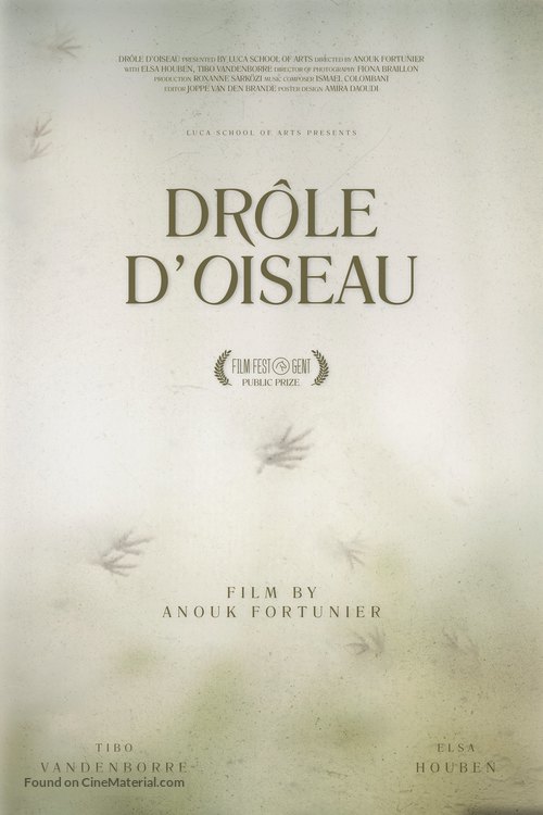 Dr&ocirc;le d&#039;Oiseau - Belgian Movie Poster