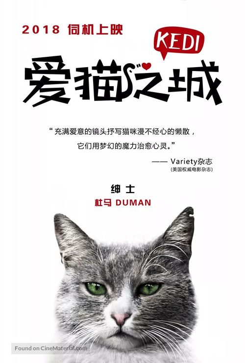 Kedi - Chinese Movie Poster