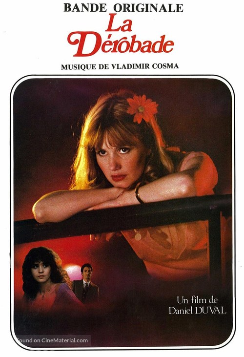 La d&egrave;robade - French DVD movie cover