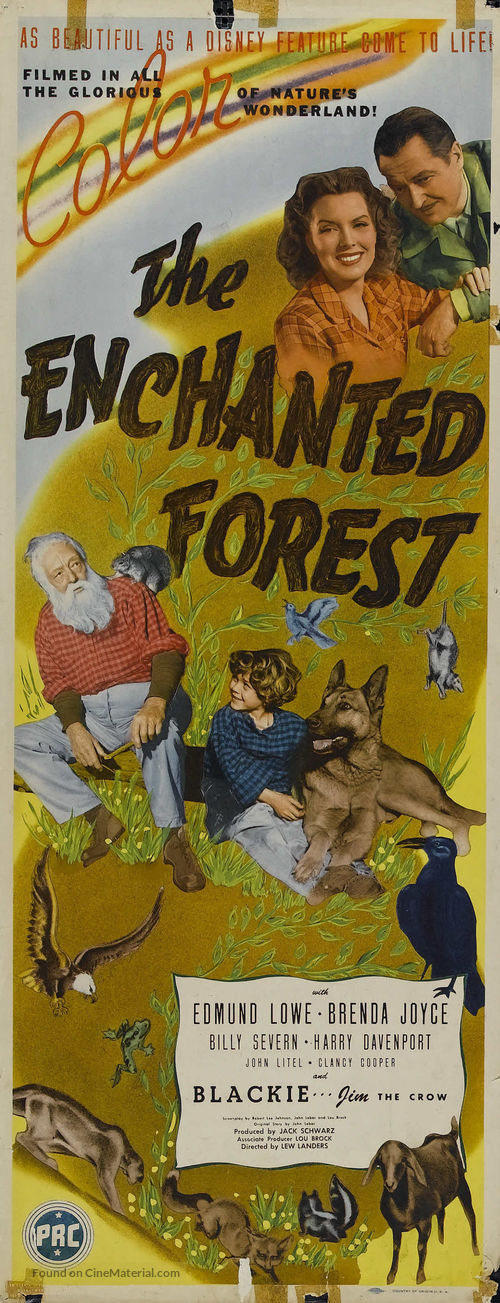 The Enchanted Forest - Movie Poster
