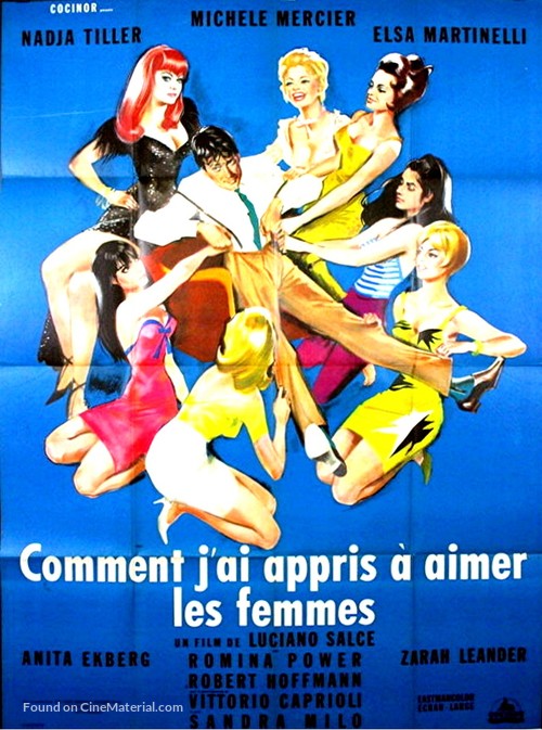 Come imparai ad amare le donne - French Movie Poster