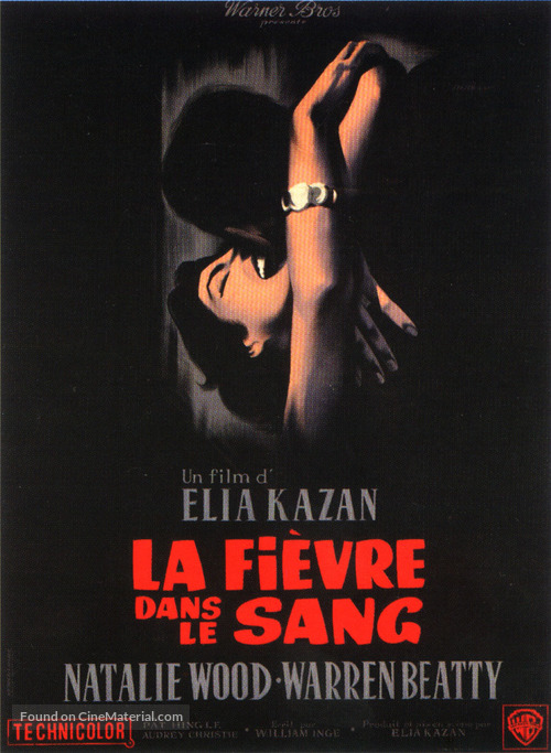 Splendor in the Grass - French Movie Poster