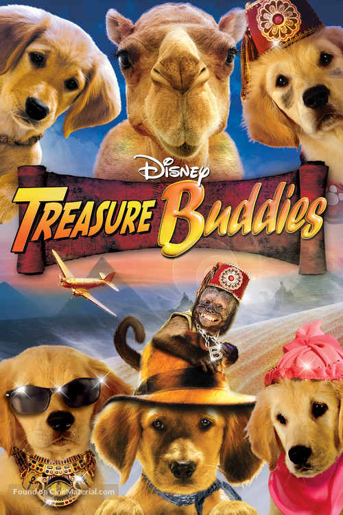 Treasure Buddies - DVD movie cover
