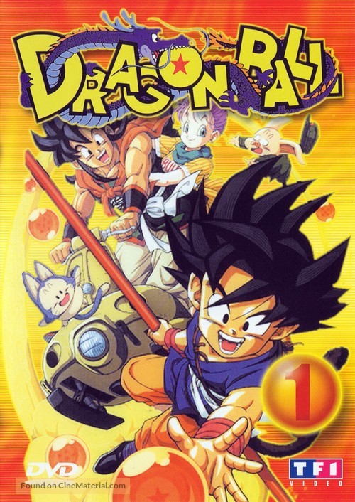 &quot;Dragon Ball&quot; - French Movie Cover