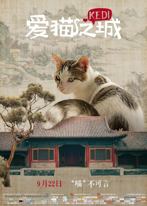 Kedi - Chinese Movie Poster