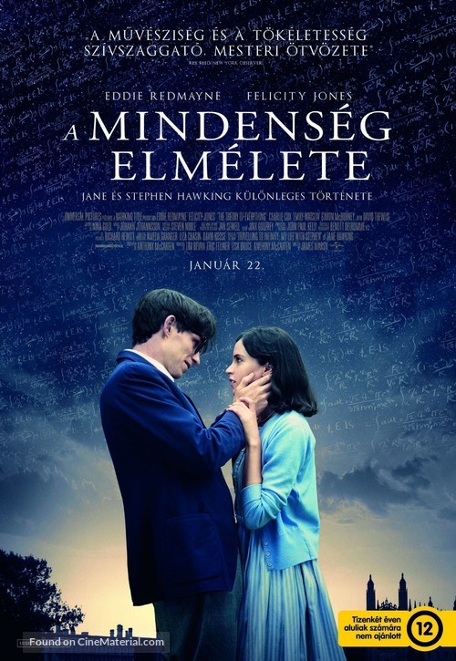 The Theory of Everything - Hungarian Movie Poster