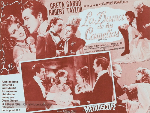 Camille - Argentinian poster