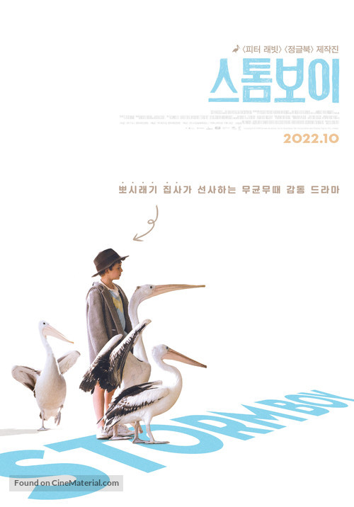 Storm Boy - South Korean Movie Poster