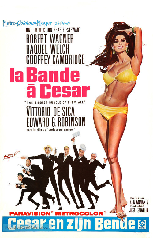The Biggest Bundle of Them All - Belgian Movie Poster