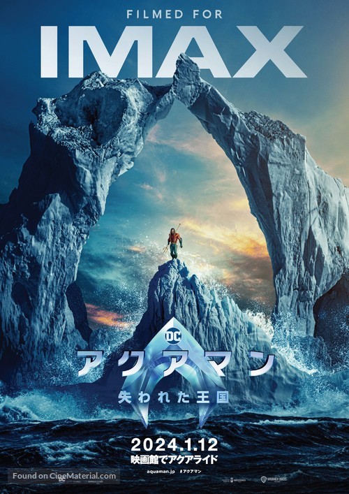 Aquaman and the Lost Kingdom - Japanese Movie Poster