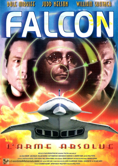 Falcon Down - French DVD movie cover