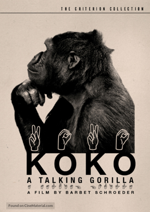 Koko, le gorille qui parle - Movie Cover