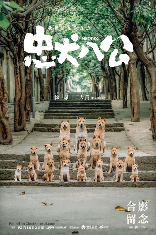 HACHIKO - Chinese Movie Poster