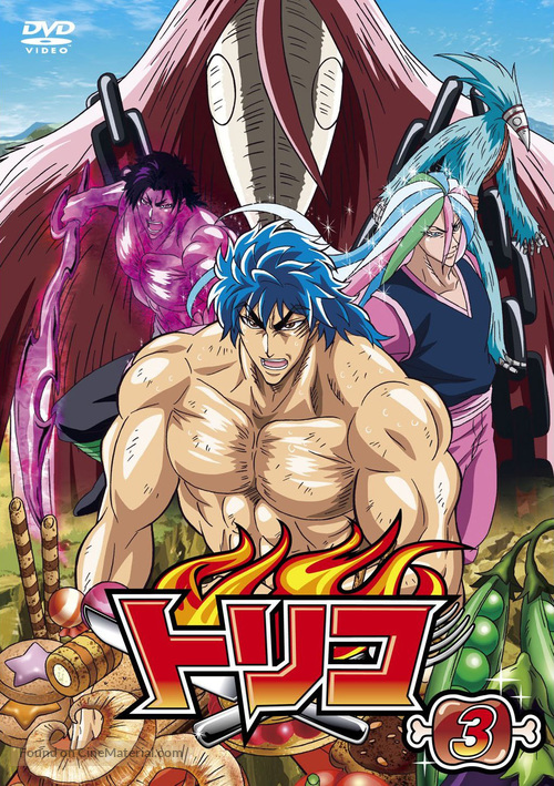 &quot;Toriko&quot; - Japanese DVD movie cover