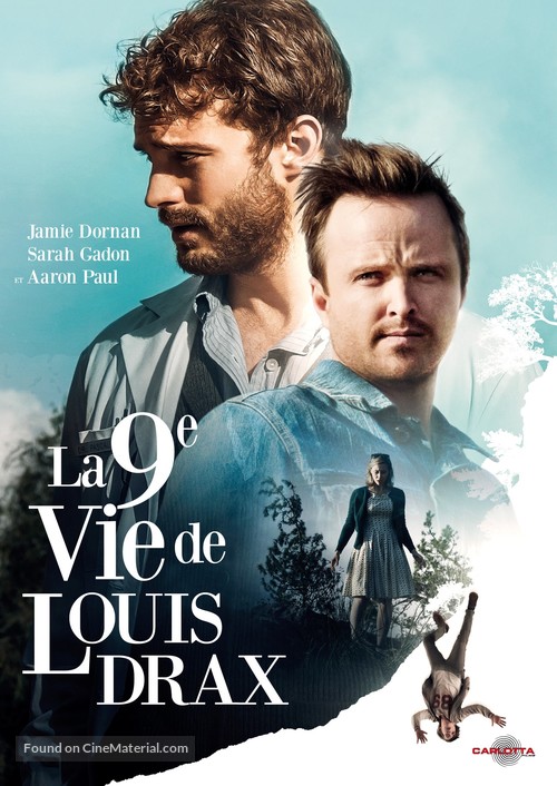 The 9th Life of Louis Drax - French DVD movie cover