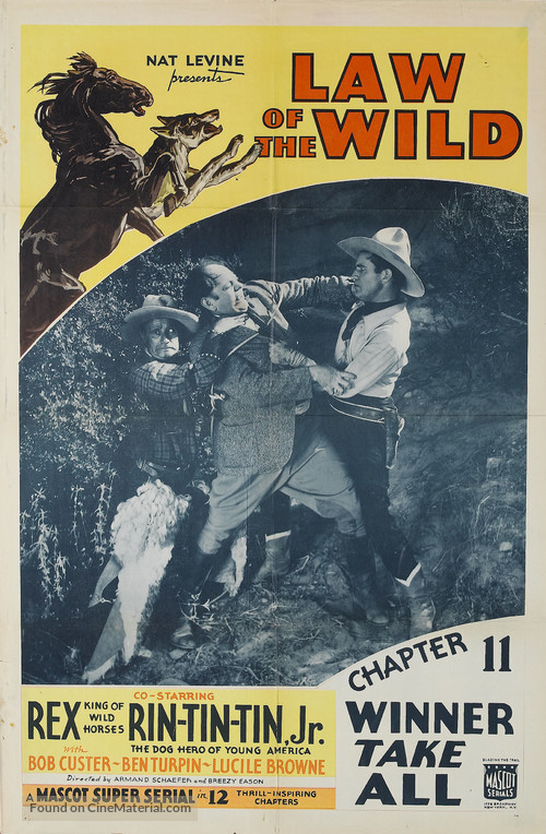 Law of the Wild - Movie Poster