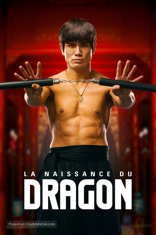 Birth of the Dragon - French Video on demand movie cover