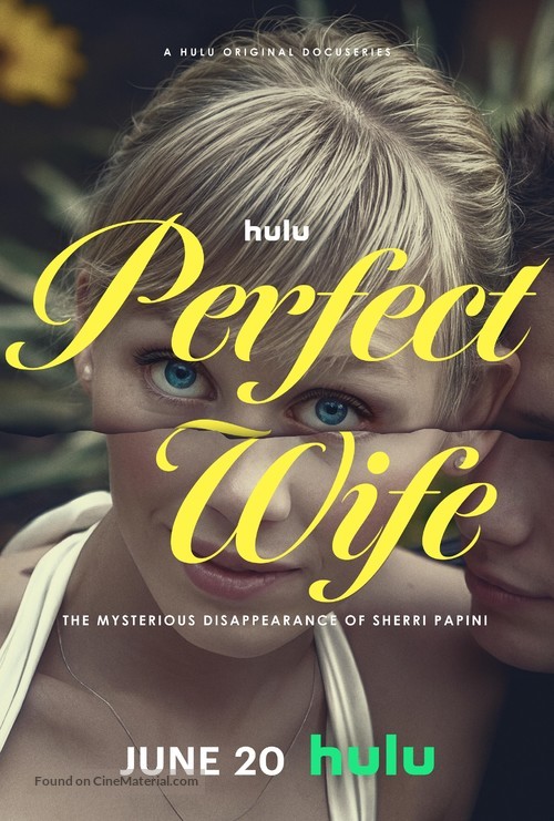 Perfect Wife: The Mysterious Disappearance of Sherri Papini - Movie Poster