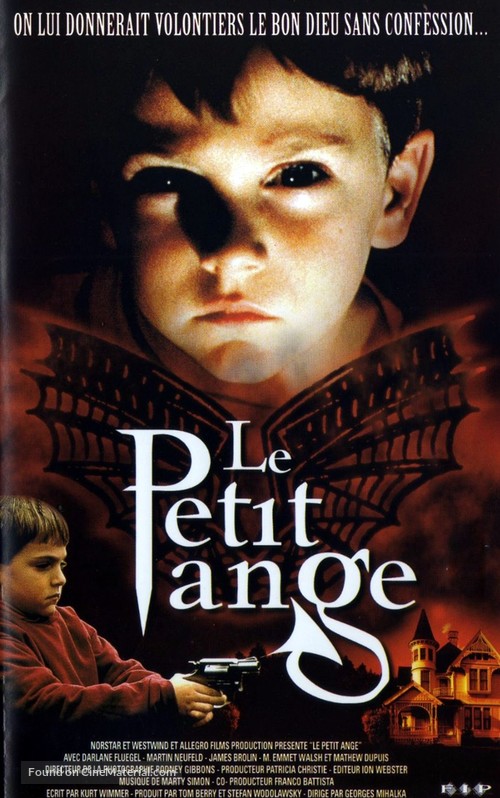 Relative Fear - French VHS movie cover