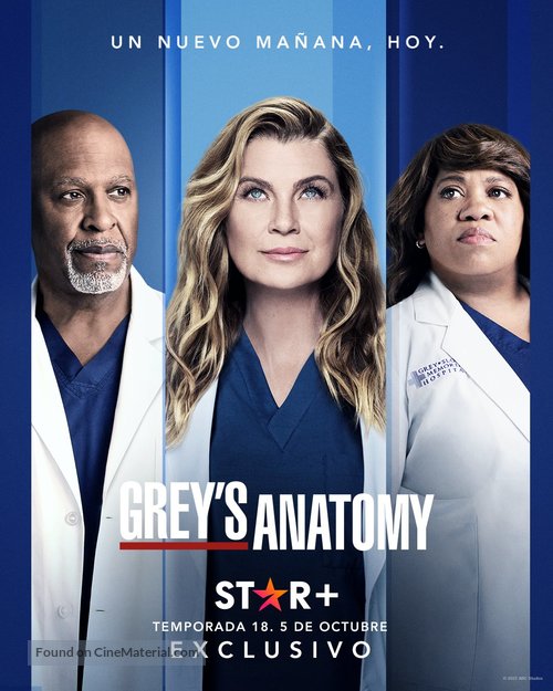 &quot;Grey&#039;s Anatomy&quot; - Argentinian Movie Poster
