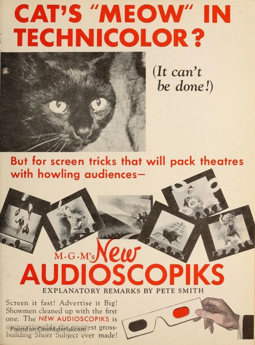 The New Audioscopiks - poster