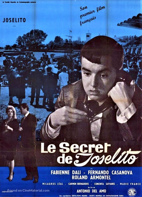 El secreto de Tomy - French Movie Poster