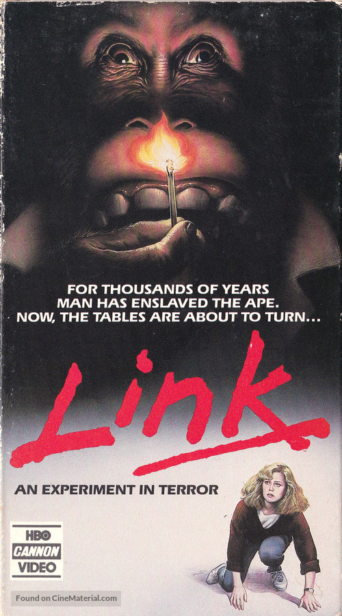 Link - Movie Cover