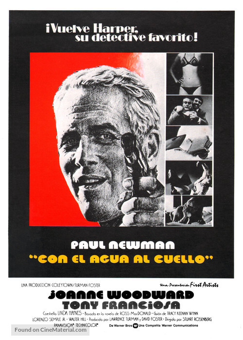The Drowning Pool - Spanish Movie Poster