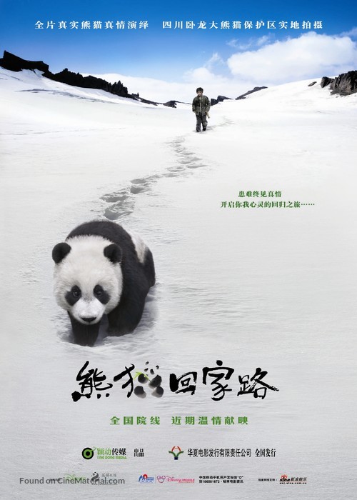 Touch of the Panda - Chinese Movie Poster